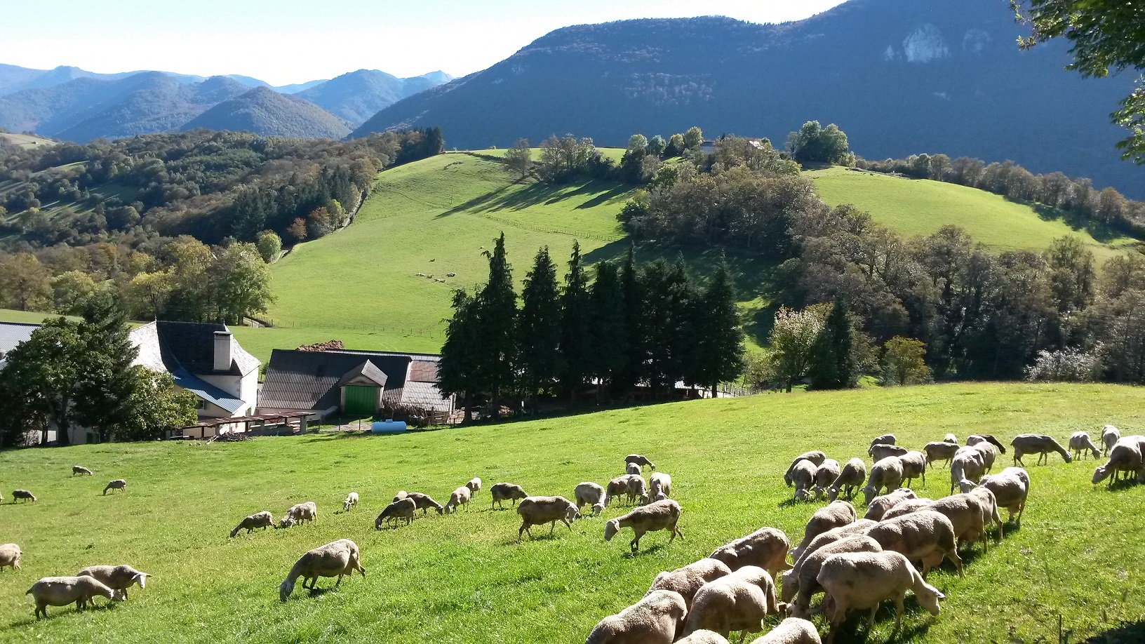 La beauté du Chemin le GR78 de Lourdes a Eysus 