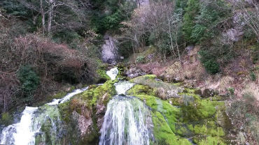  Cascade verdoyante entre Eysus et Sarrance